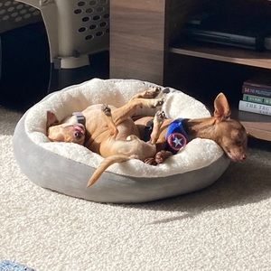 Meet your Posher, Adrian